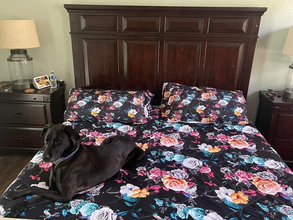 SHEET SET -FAIRY KURB - Like A Duchess
