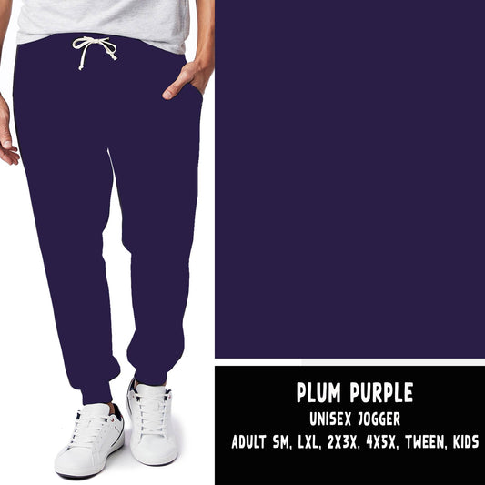 SOLIDS RUN-PLUM PURPLE LEGGINGS/JOGGERS - Like A Duchess
