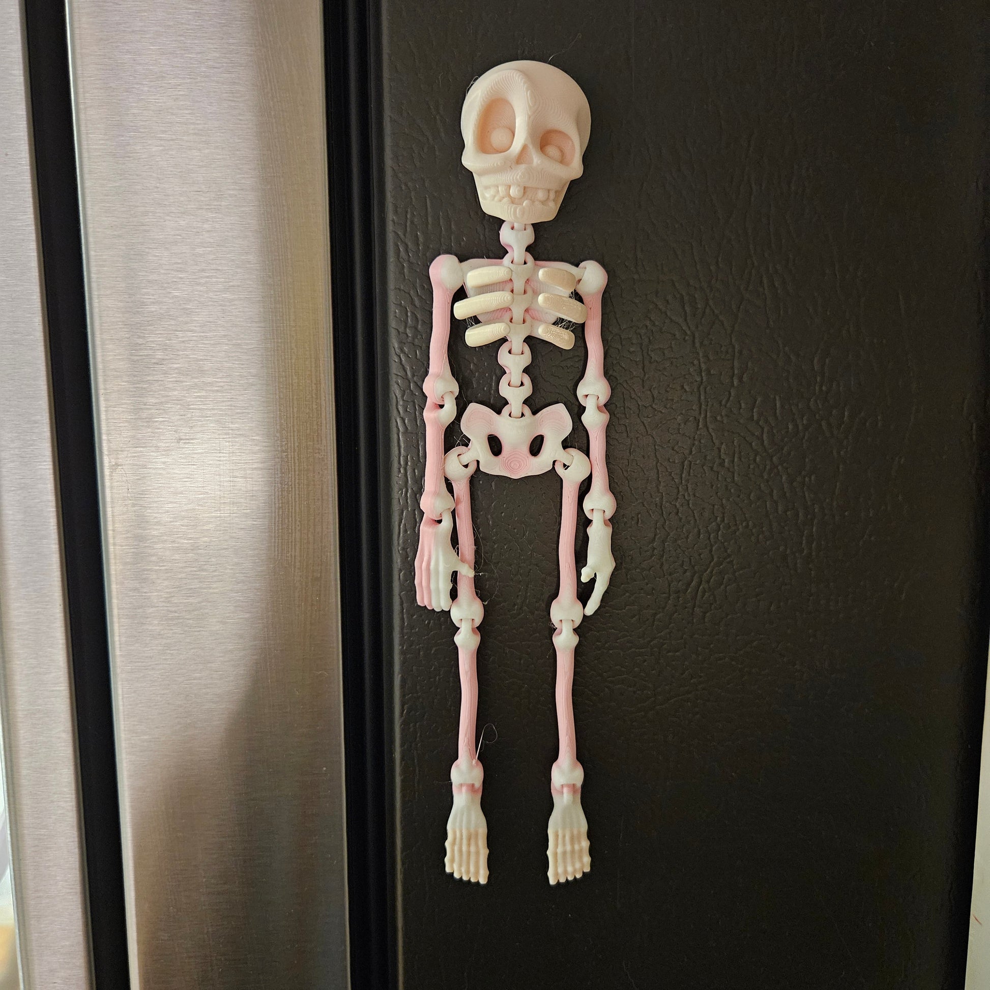 MAGNETIC SKELETON- 3D PRINTED- VARIETY OF COLORS - Like A Duchess