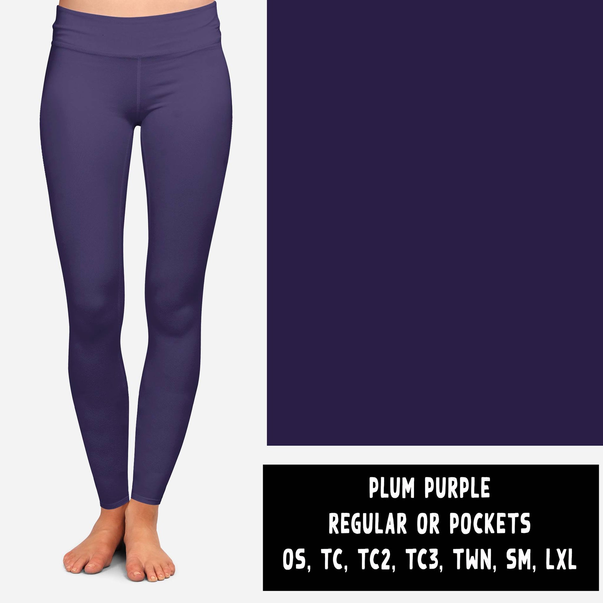 SOLIDS RUN-PLUM PURPLE LEGGINGS/JOGGERS - Like A Duchess